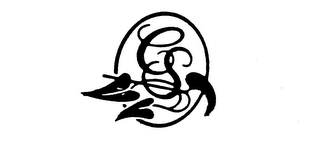 CS logo