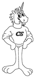 CS