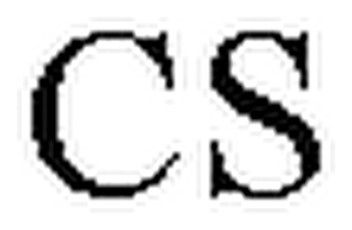 CS logo