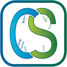 CS logo