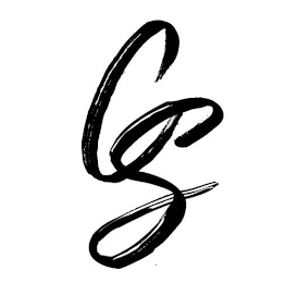 CS logo