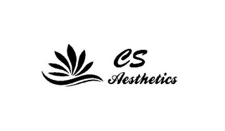 CS AESTHETICS logo