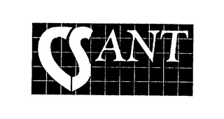 CS ANT logo
