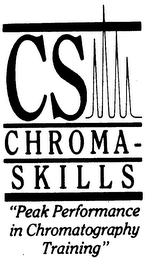 CS CHROMA-SKILLS "PEAK PERFORMANCE IN CHROMATOGRAPHY TRAINING" logo