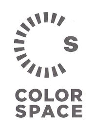 CS COLOR SPACE logo