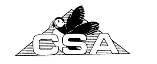 CSA logo