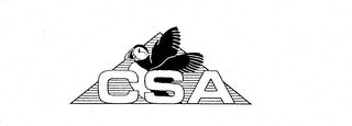 CSA logo