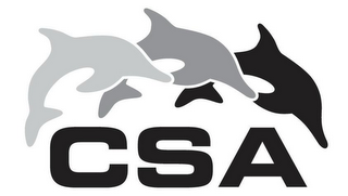 CSA logo