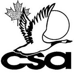 CSA logo
