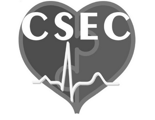 CSEC logo