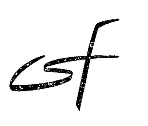 CSF logo