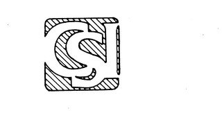 CSI logo
