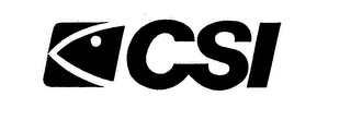 CSI logo