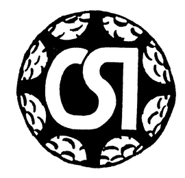 CSI logo