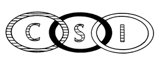 CSI logo