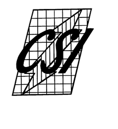 CSI logo