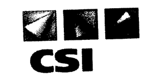CSI logo