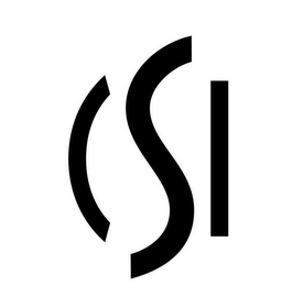 CSI logo
