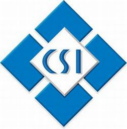 CSI logo