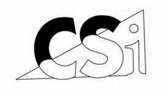 CSI logo