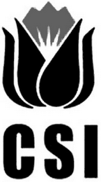 CSI logo