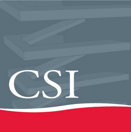 CSI logo