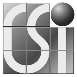 CSI logo