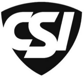 CSI logo