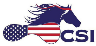 CSI logo