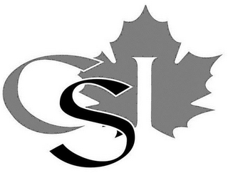 CSI logo