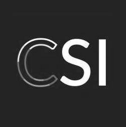 CSI logo