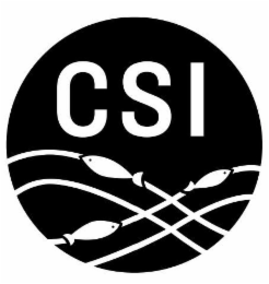 CSI logo