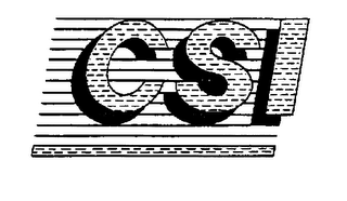 CSI COLLISION SPECIALIST logo