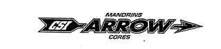 CSI MANDRINS CORES ARROW logo