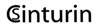 CSINTURIN logo