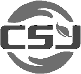 CSJ logo