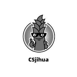 CSJIHUA logo