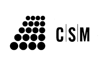 CSM logo