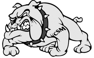CSM logo