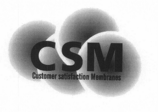 CSM CUSTOMER SATISFACTION MEMBRANES logo