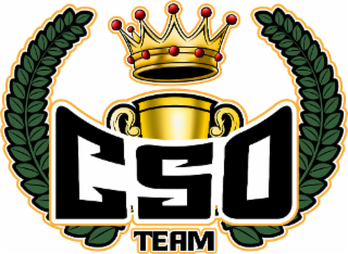 CSO TEAM logo
