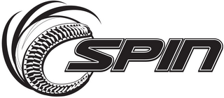 CSPIN logo