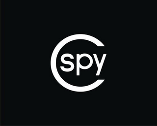CSPY logo