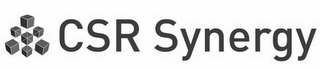 CSR SYNERGY logo