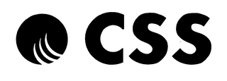 CSS logo