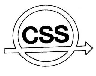 CSS logo