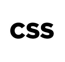 CSS logo
