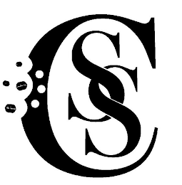 CSS logo