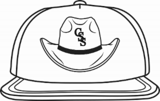 CSS logo