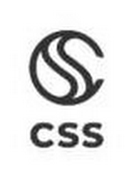 CSS CSS logo